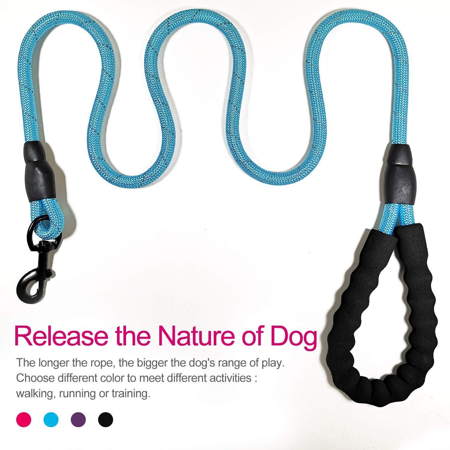 10FT Strong Dog Leash with Comfortable Padded Handle and Highly Reflective Threads - iTalkPet