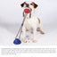 Suction Cup Dog Toy - Interactive Dog Chew Toys - iTalkPet