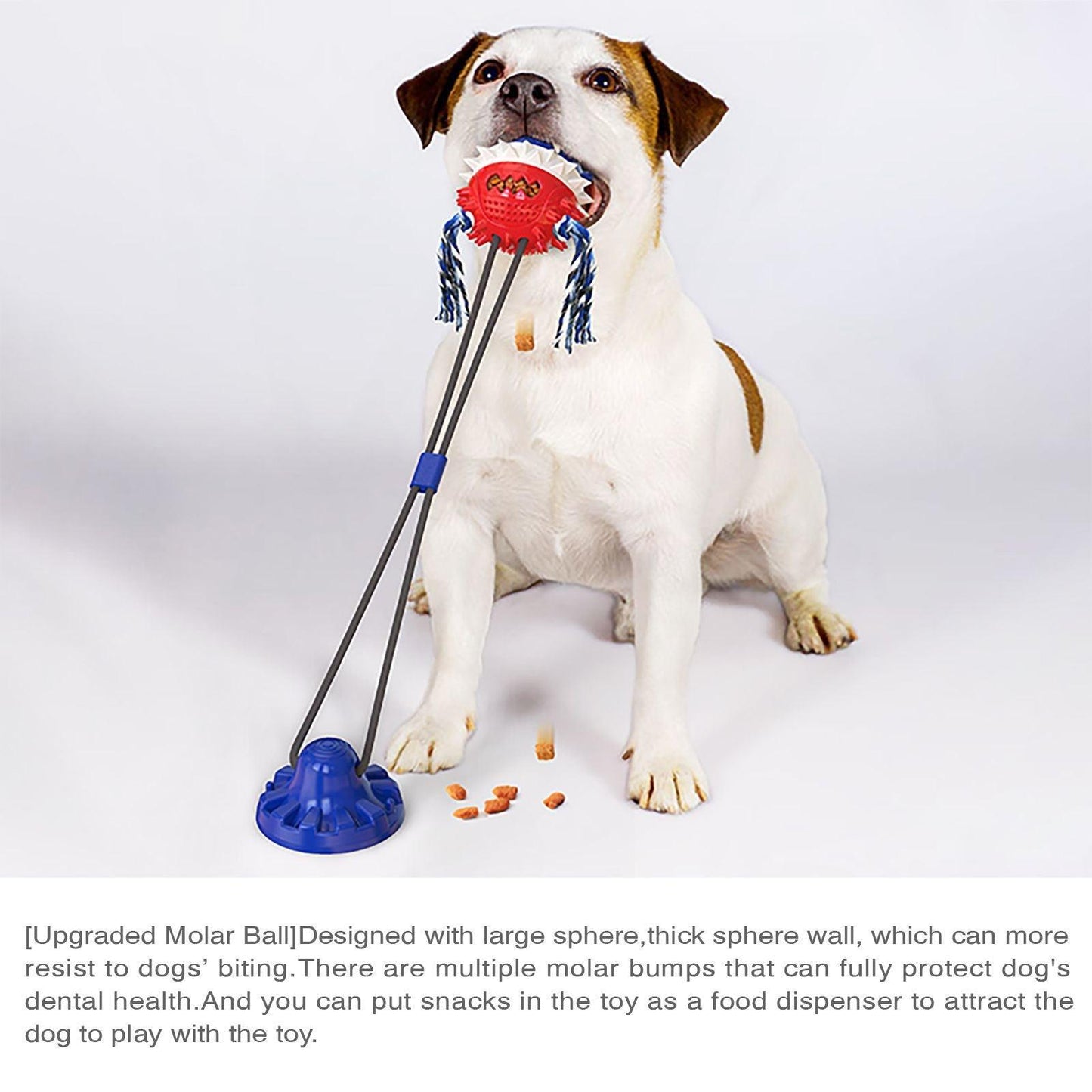 Suction Cup Dog Toy - Interactive Dog Chew Toys - iTalkPet