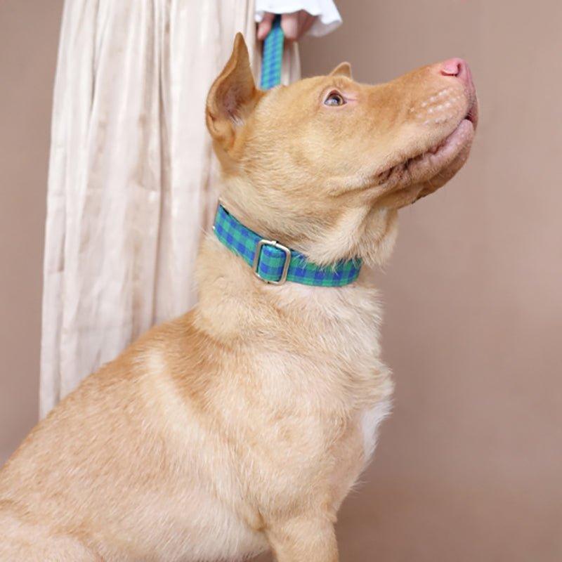 Teal Green Plaid Personalized Dog Collar Set - iTalkPet