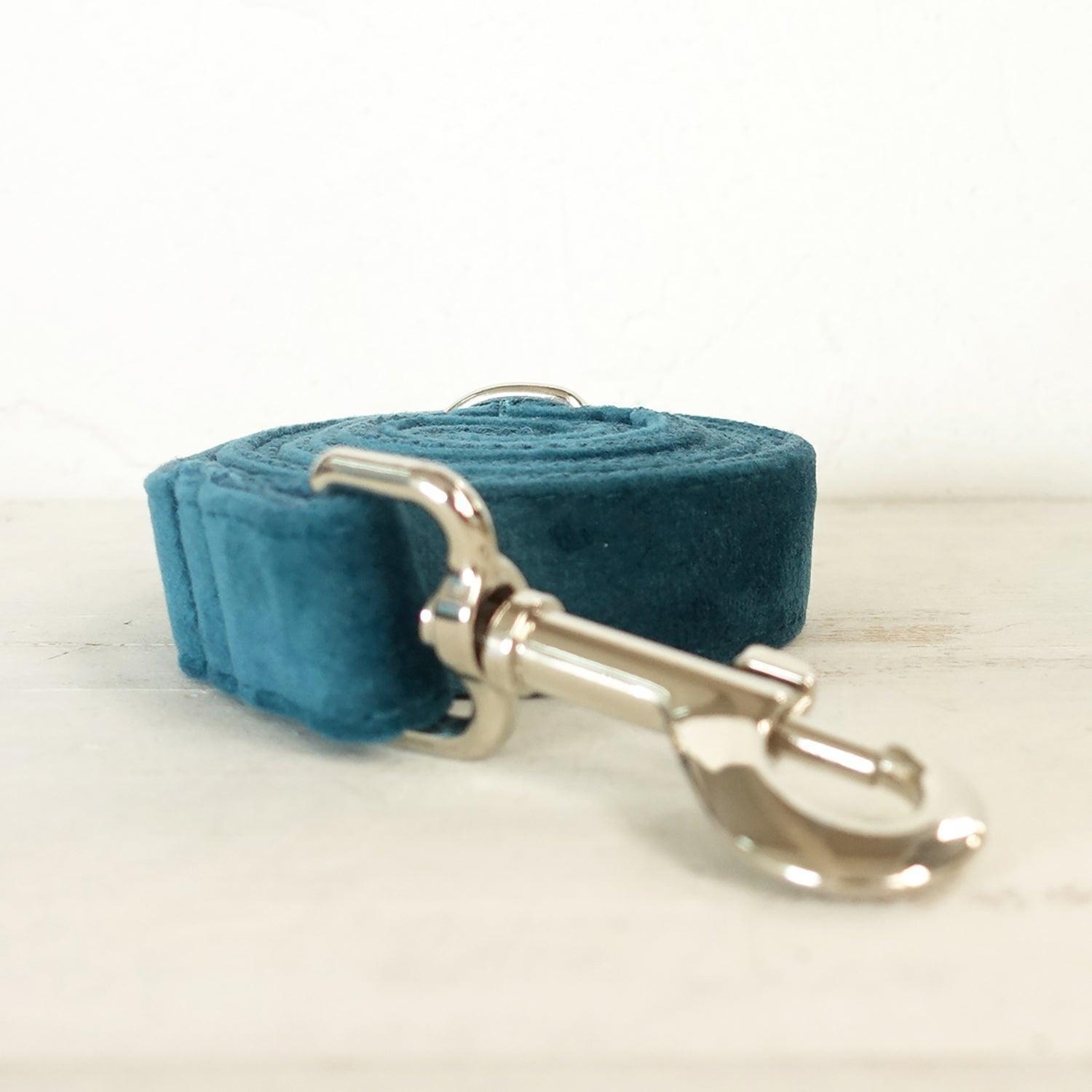 Turquose Personalized Dog Collar Set - iTalkPet