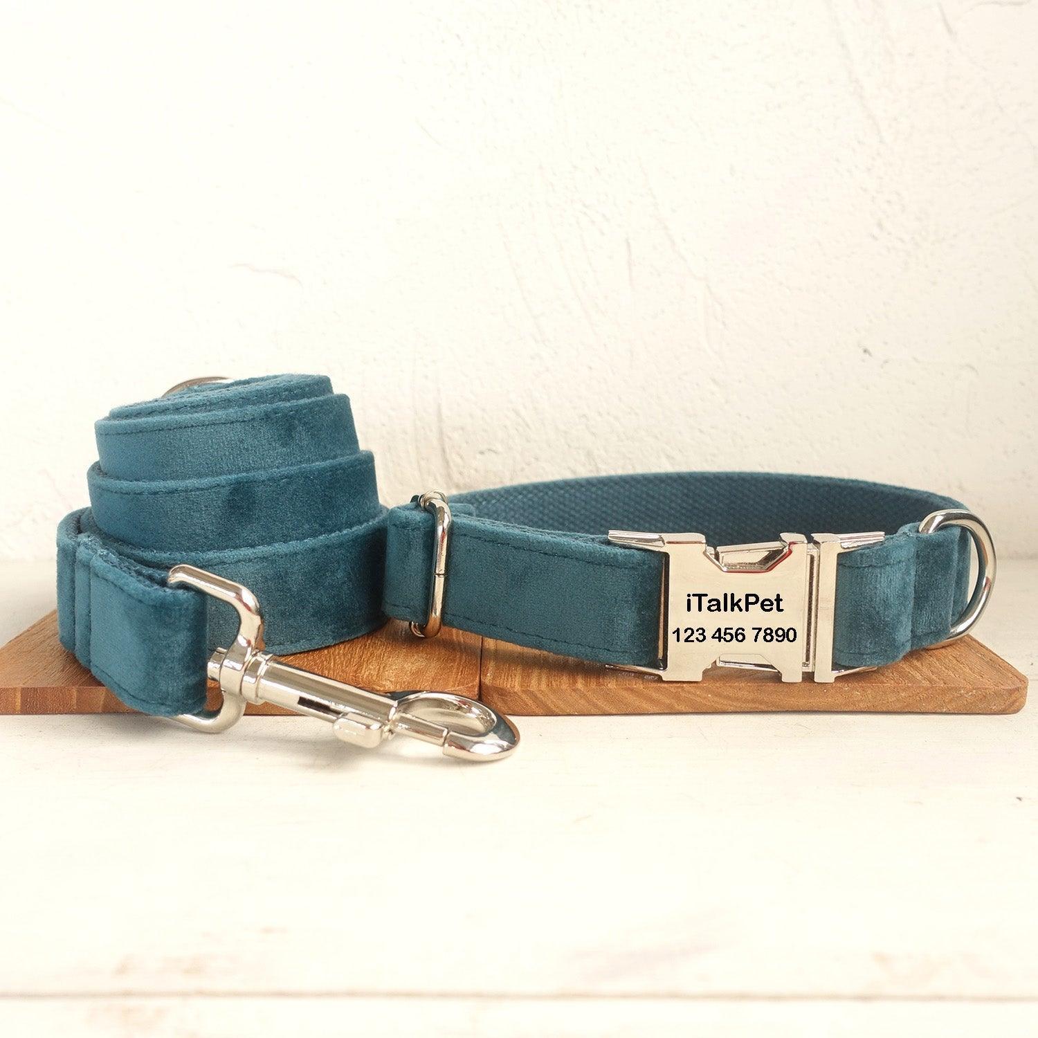Turquose Personalized Dog Collar Set - iTalkPet