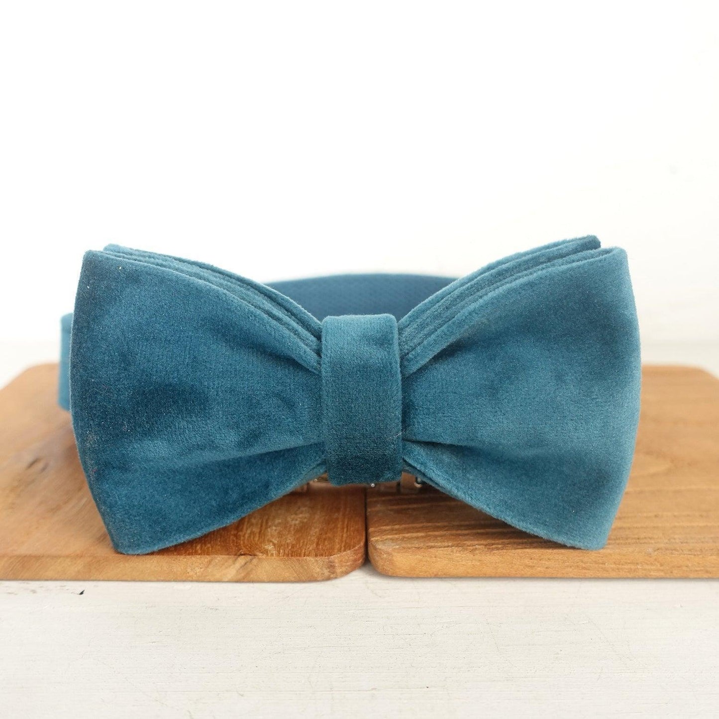 Turquose Personalized Dog Collar Set - iTalkPet