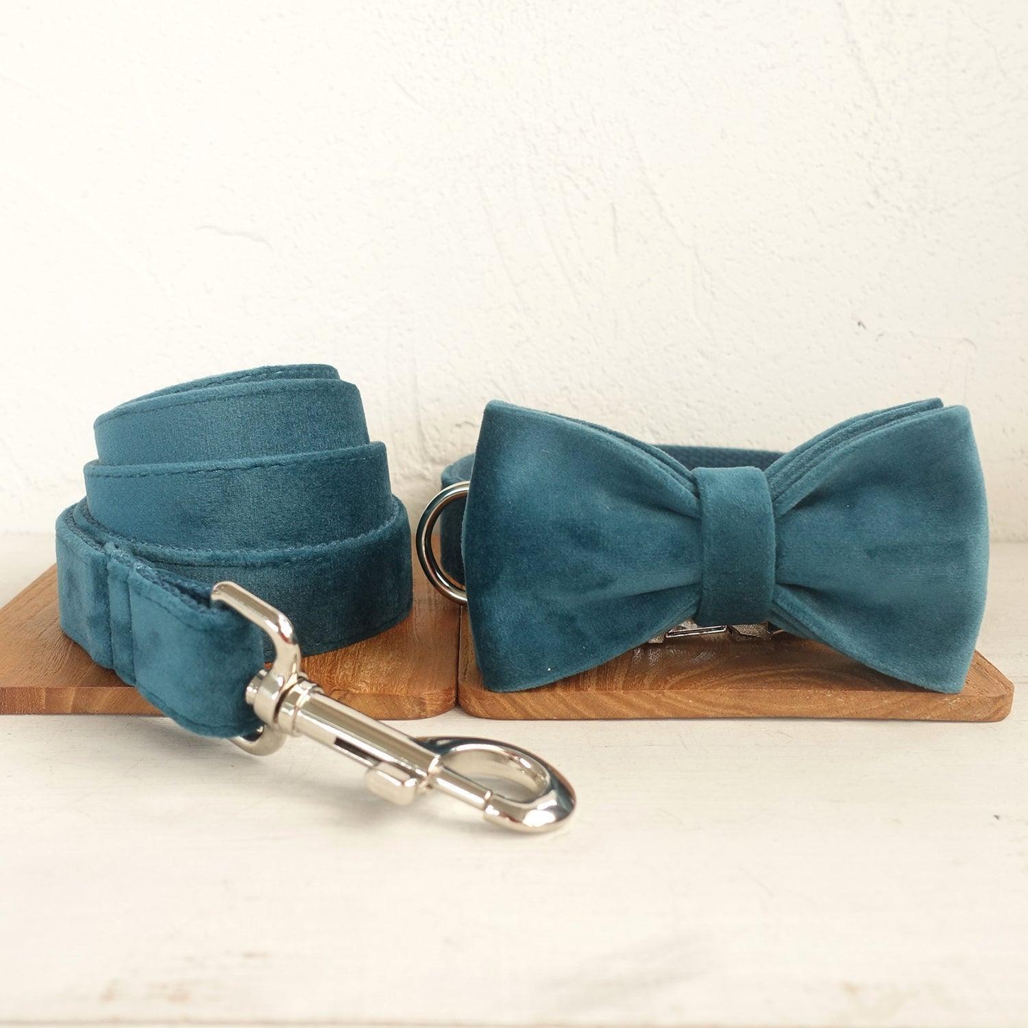 Turquose Personalized Dog Collar Set - iTalkPet