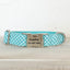 Water Poor Blue Personalized Dog Collar Set - iTalkPet