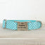 Water Poor Blue Personalized Dog Collar Set - iTalkPet