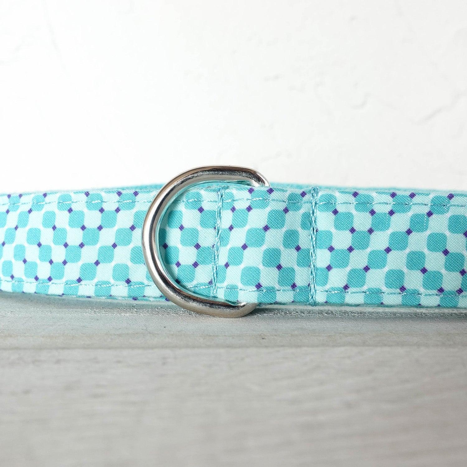 Water Poor Blue Personalized Dog Collar Set - iTalkPet