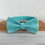 Water Poor Blue Personalized Dog Collar Set - iTalkPet