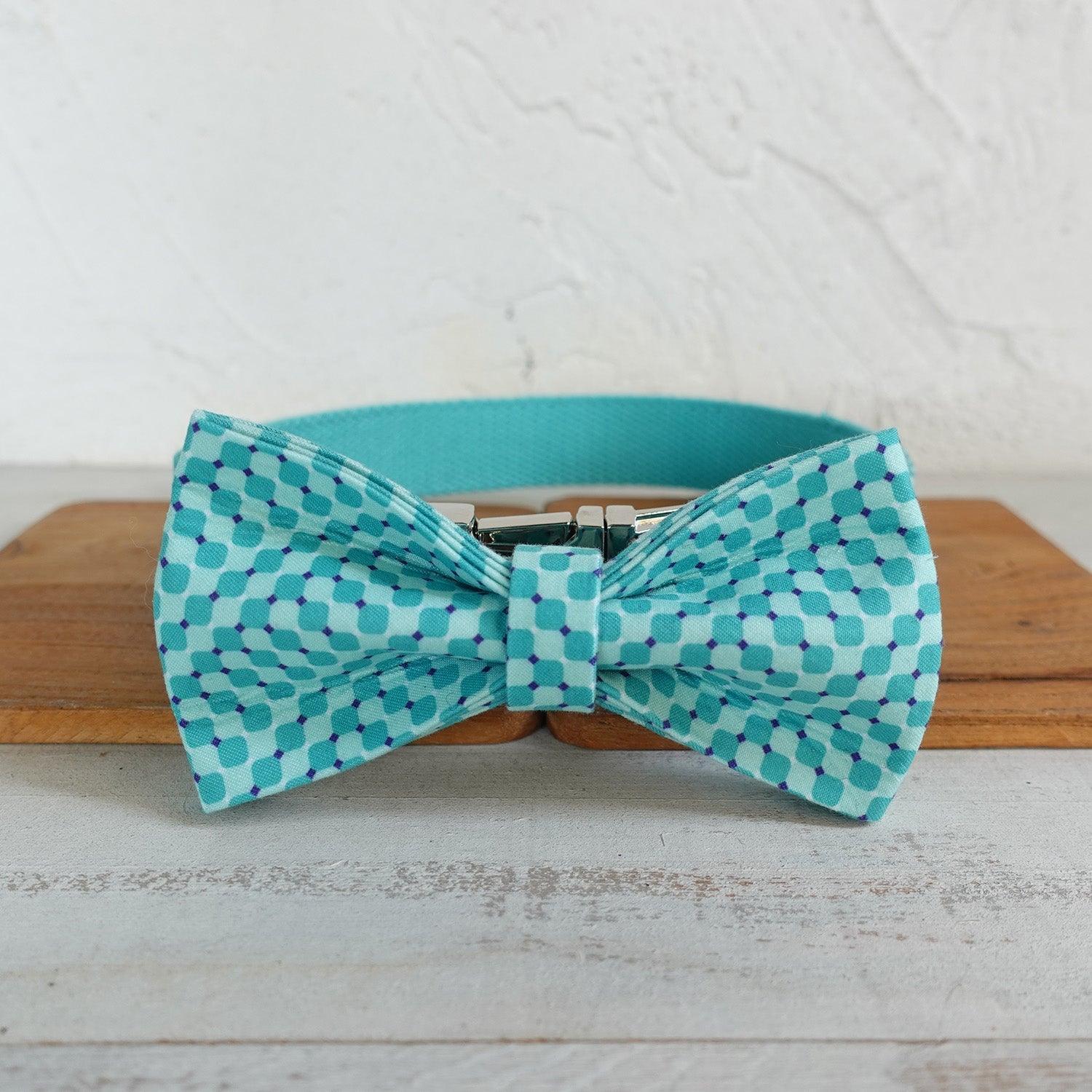 Water Poor Blue Personalized Dog Collar Set - iTalkPet