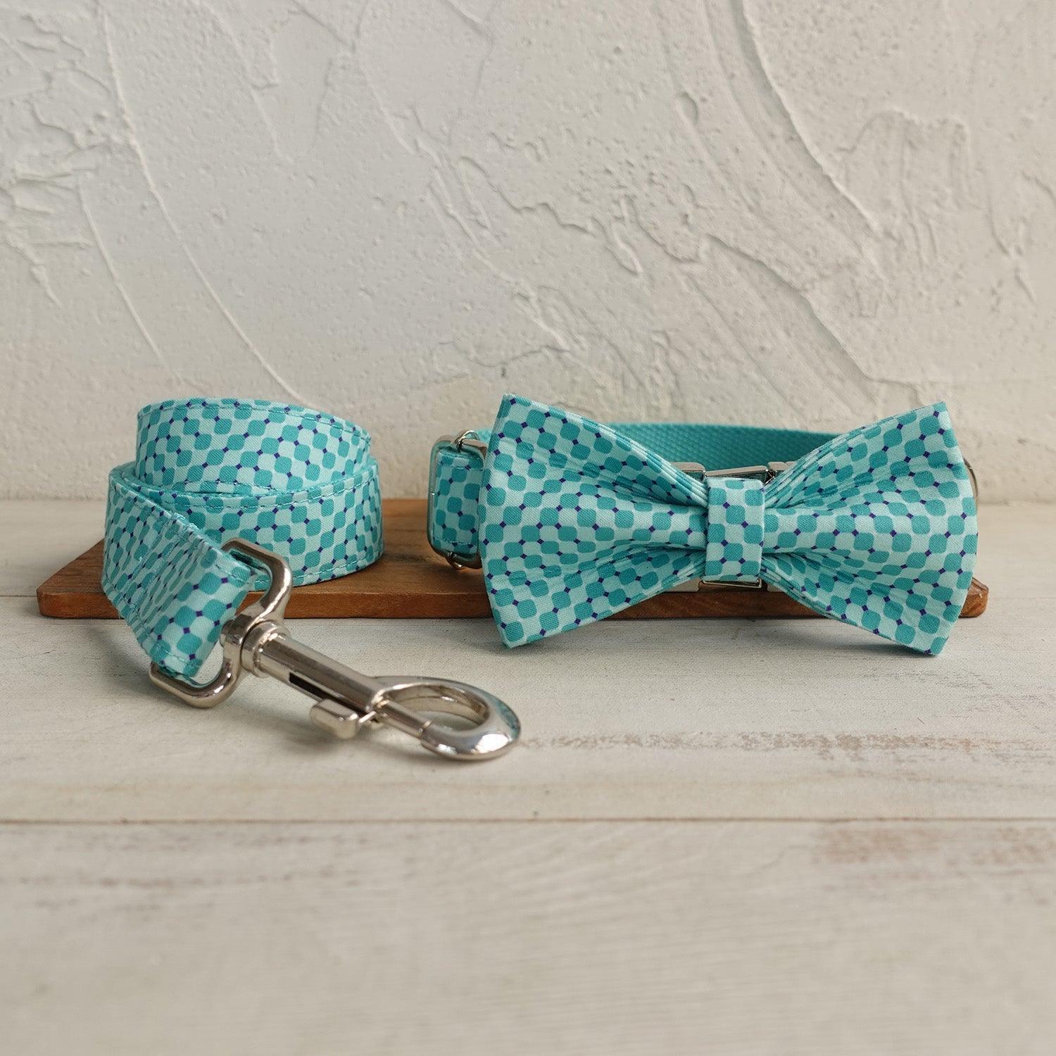 Water Poor Blue Personalized Dog Collar Set - iTalkPet