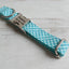 Water Poor Blue Personalized Dog Collar Set - iTalkPet
