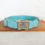 Water Poor Blue Personalized Dog Collar Set - iTalkPet