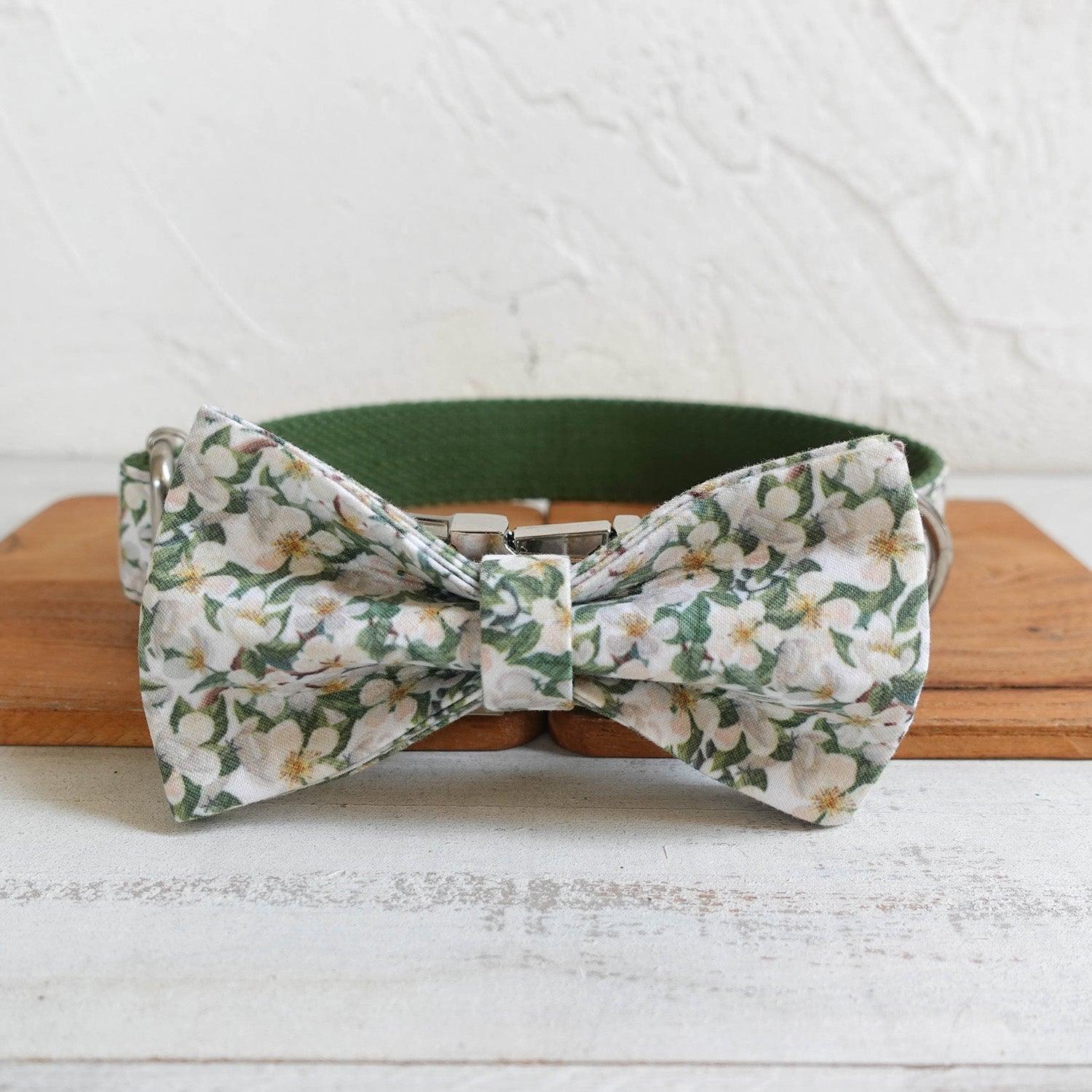 White Flower Green Personalized Dog Collar Set - iTalkPet