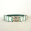 White Green Personalized Dog Collar Set - iTalkPet