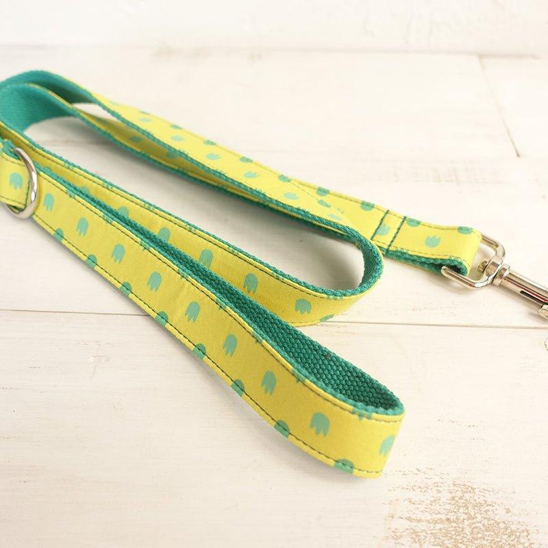 Yellow Dinosaur Footprint Personalized Dog Collar Set - iTalkPet