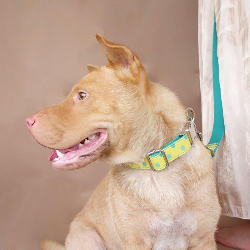 Yellow Dinosaur Footprint Personalized Dog Collar Set - iTalkPet
