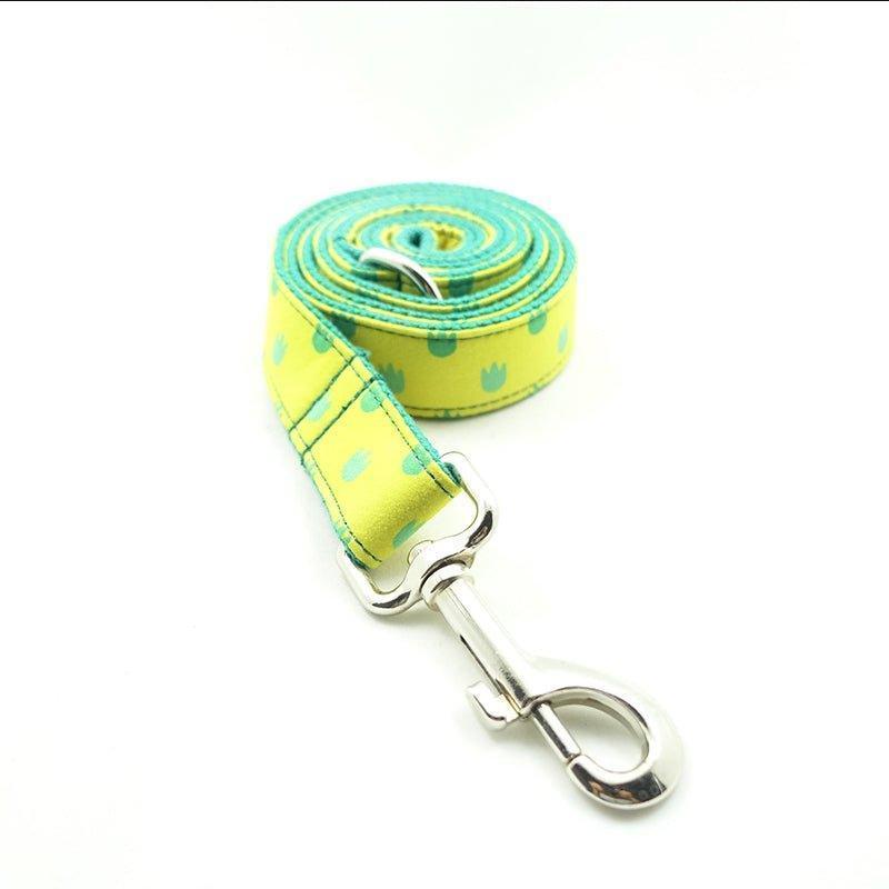 Yellow Dinosaur Footprint Personalized Dog Collar Set - iTalkPet