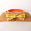 Yellow Orange Personalized Dog Collar Set - iTalkPet