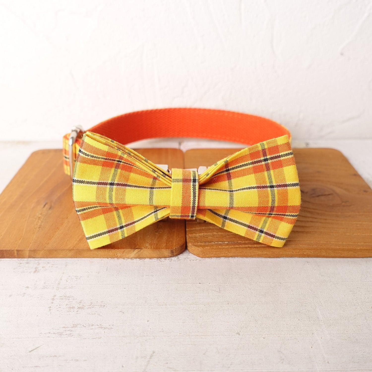 Yellow Orange Personalized Dog Collar Set - iTalkPet