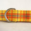 Yellow Orange Personalized Dog Collar Set - iTalkPet