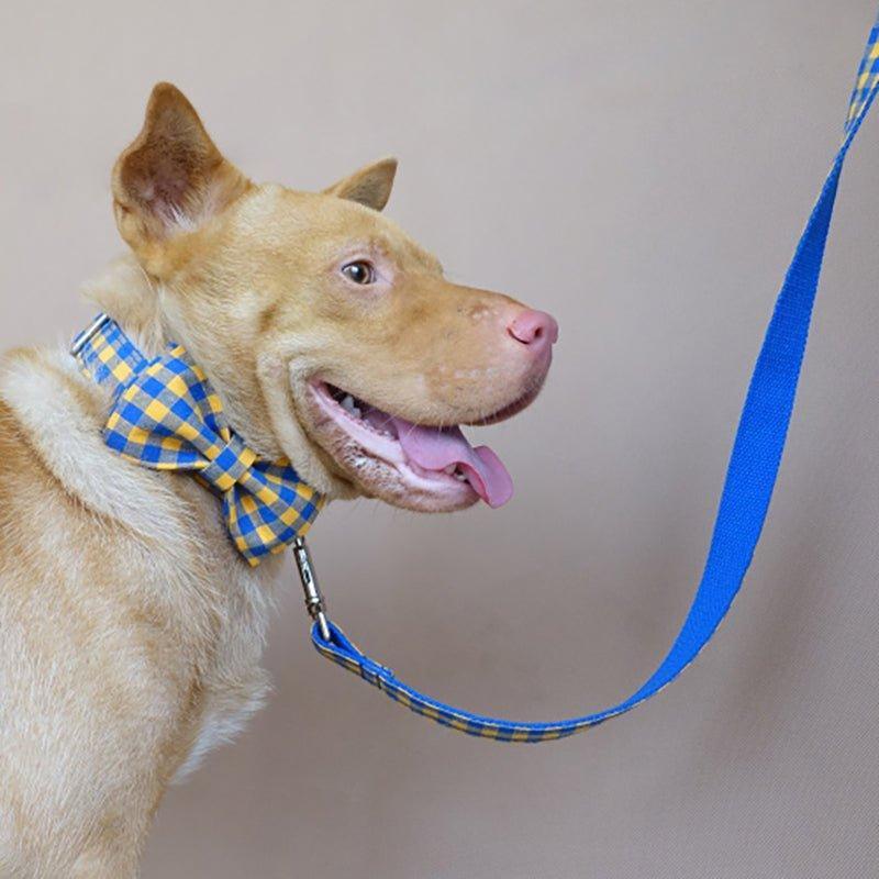 Yellow Plaid Blue Personalized Dog Collar Set - iTalkPet