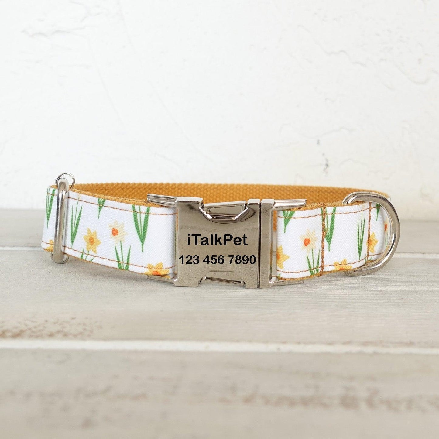 Zephyranthes Orange Personalized Dog Collar Set - iTalkPet