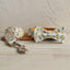 Zephyranthes Orange Personalized Dog Collar Set - iTalkPet