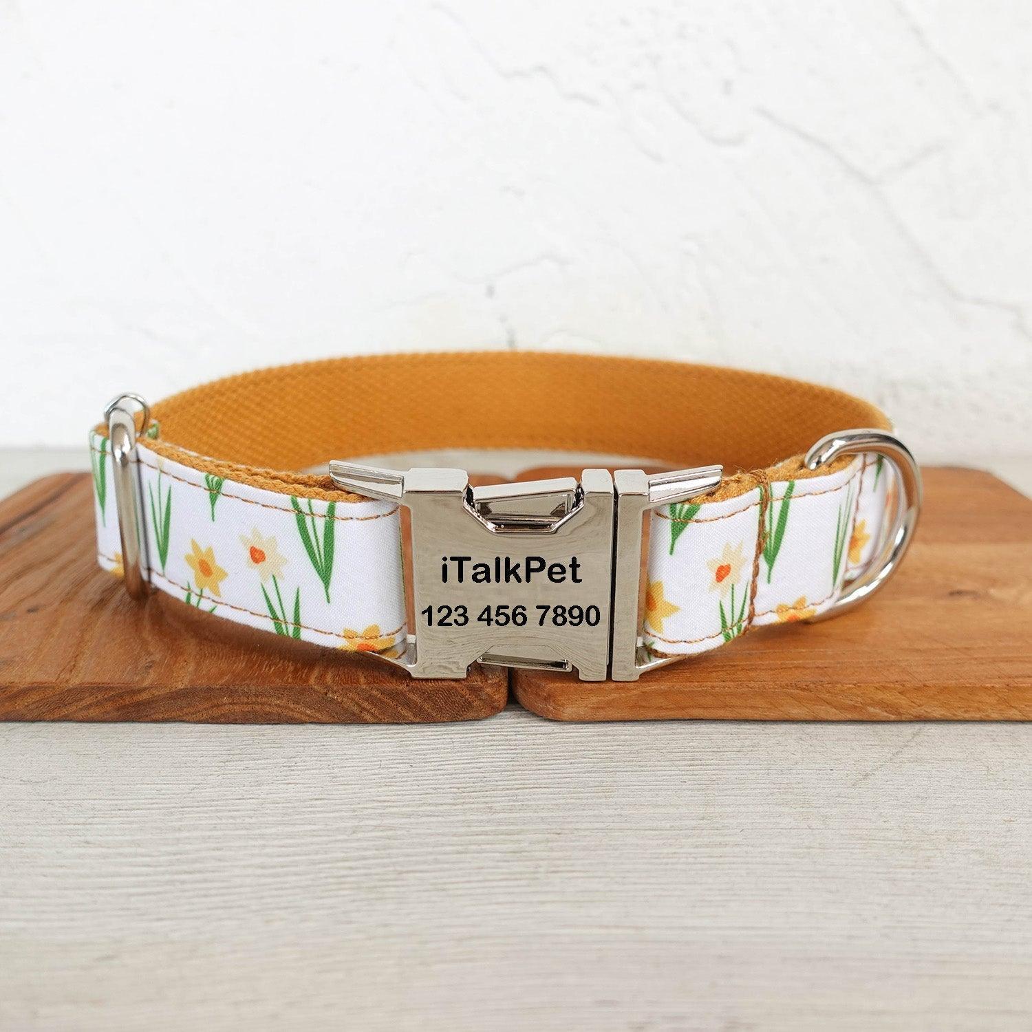 Zephyranthes Orange Personalized Dog Collar Set - iTalkPet